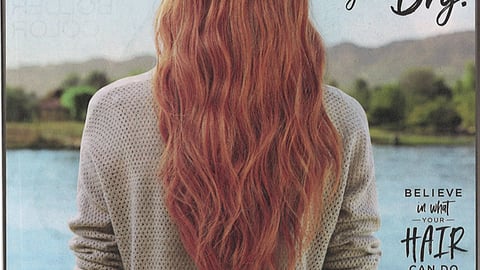 Garnier Fructis 'Tell Frizz Bye' FSI