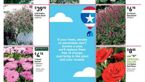 Lowe’s 'Fresh Lantana' Feature