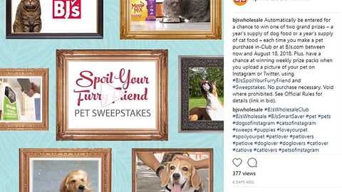 BJ's #BJsSpoilYourFurryFriend Instagram Update