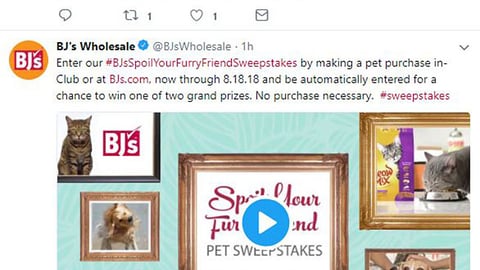 BJ's #BJsSpoilYourFurryFriend Twitter Updates