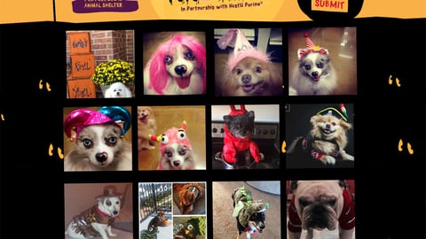 Acme Purina 'Hairy 'N Scary' Web Page