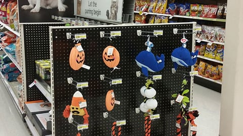 Target Halloween Pet Endcap