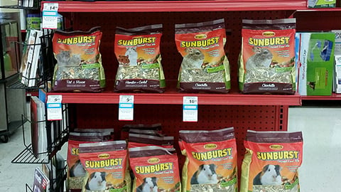 Petco Sunburst '50th Anniversary Sale' Endcap Header