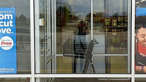 Petco 'A Cut Above' Window Posters