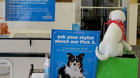 Petco 'Pick 3' Window Posters