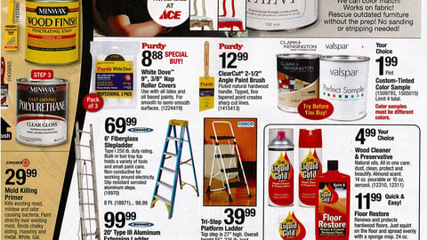 Ace Hardware Amy Howard Feature