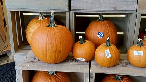 Food Lion Fall Gourds Crates