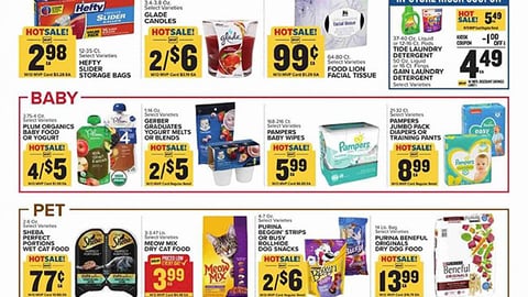 Food Lion P&G 'In-Store Kiosk Coupon' Feature