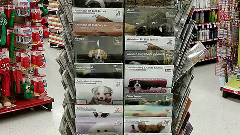 Magnet & Steel Petco Wall Calendars Rack