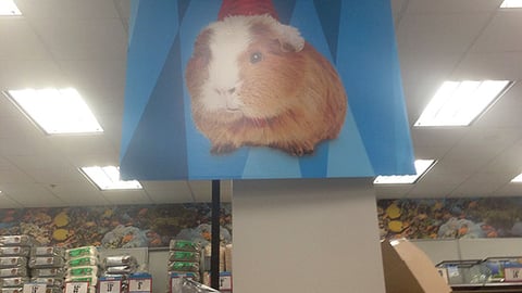 Petco '#JoyLovePetsContest' Ceiling Sign