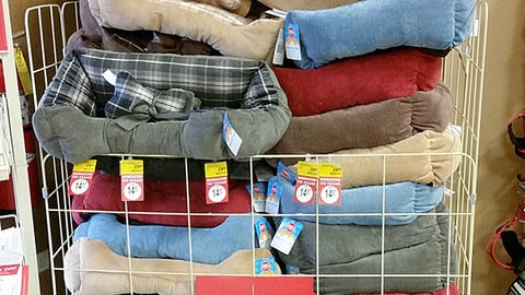 Grreat Choice 'Save 20%' Dump Rack Sign