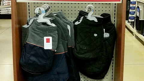 Top Paw 'Oh Joy' Endcap