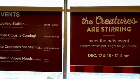 PetSmart 'Events' Window Posters