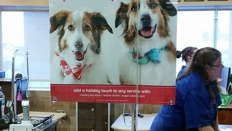 PetSmart 'Spruce Up' Window Sign