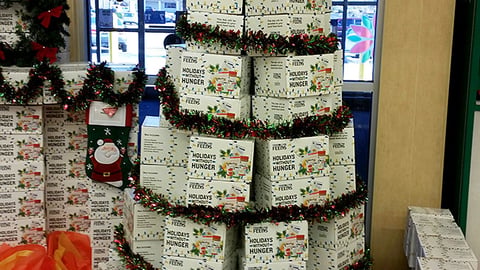 Food Lion 'Holidays Without Hunger' Spectacular