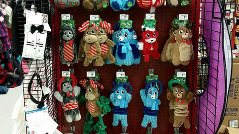 Petco 'Joy Love Pets' Endcap