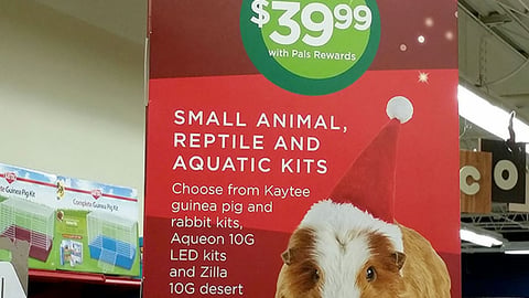 Petco 'Give the Gift' Counter Card