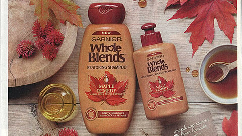 Garnier Whole Blends 'Restorative Care' FSI