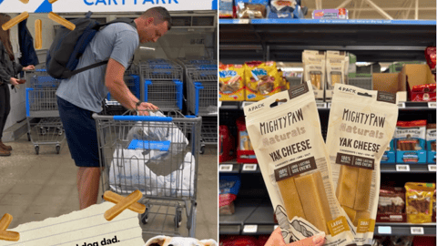 Mighty Paw Walmart 'Built by a Dog Dad' Facebook Update