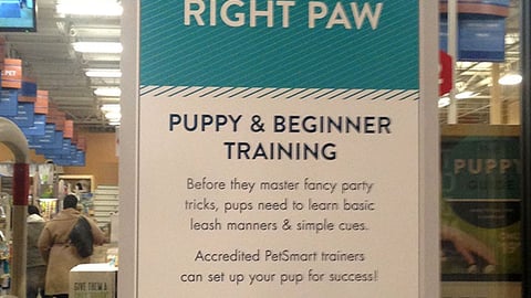 PetSmart 'Start Off On the Right Paw' Window Poster