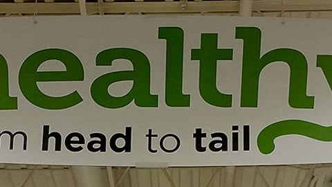 Petco 'Healthy from Head to Tail' Ceiling Banner