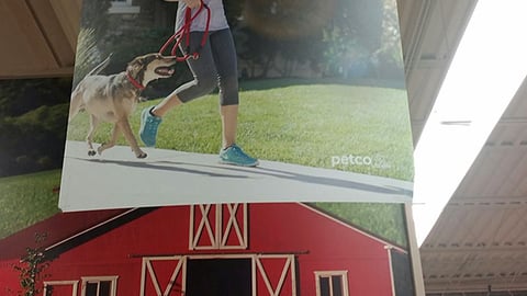 Petco 'Healthy from Head to Tail' Ceiling Banner