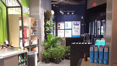 Lowe's Entryway Garden Aisle