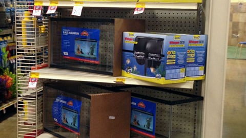 PetSmart Grreat Choice 'Amazing Aquatics Sale' Endcap