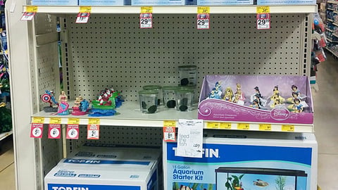 PetSmart Top Fin 'Amazing Aquatics Sale' Endcap