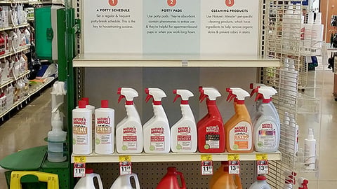 PetSmart 'Potty Training 101' Endcap Display