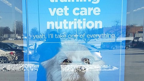 Petco 'I'll Take One of Everything' Poster