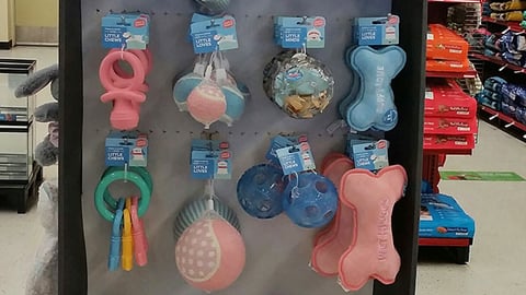 Petco 'The Essentials from Head to Tail' Floorstand