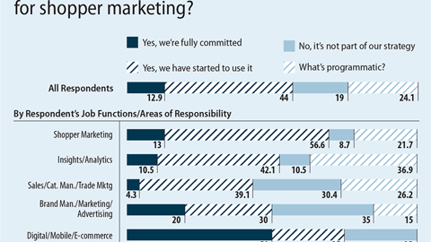 Use of Programmatic Advertising