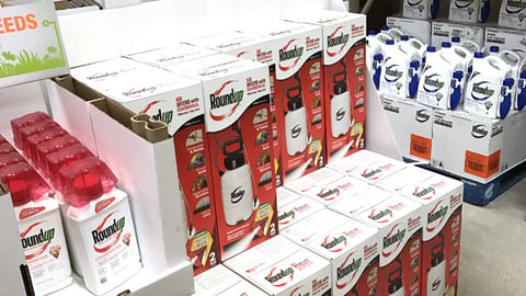 Roundup Home Depot 'Buy This Get This Free' Sign