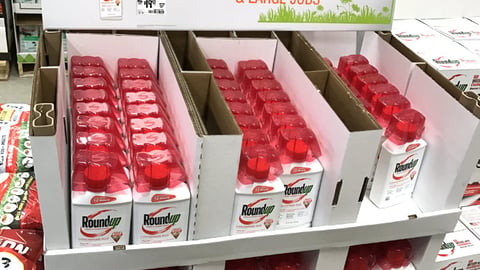 Roundup Home Depot 'Take On Tough Weeds' Pallet Display