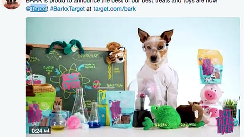 BarkBox Target Twitter Update