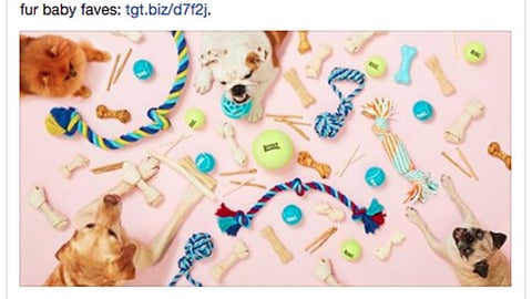 Target #NationalDogDay Facebook Update