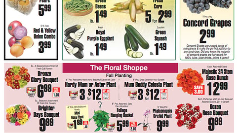 ShopRite 'Downtime Dollars' Feature