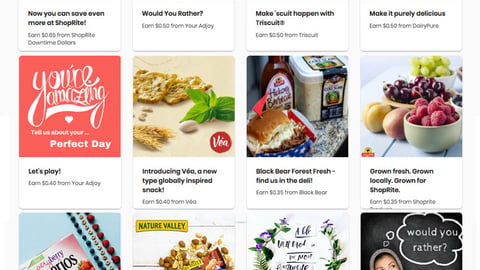 ShopRite 'Downtime Dollars' Microsite