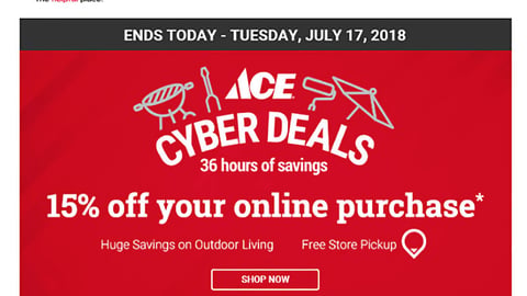 Ace Hardware 36-Hour Sale