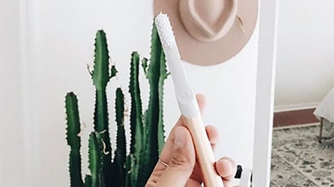 Target Quip 'Brush Your Teeth in Style' Facebook Update