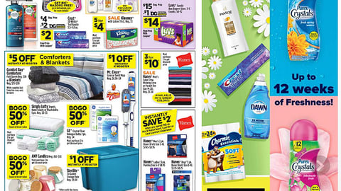 Dollar General P&G 'Bask in Sunny Savings' Digital Circular Ad