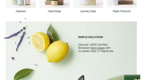 Target Everspring Promotional Page