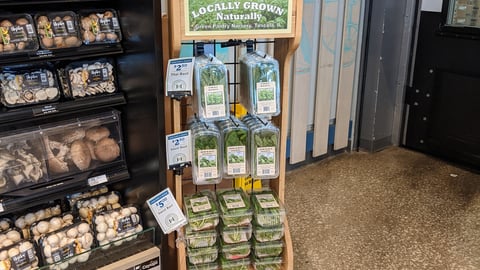 Green Pantry Nursery 'Fresh Basil' Floorstand