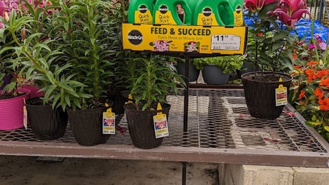 Miracle-Gro Quick Start Lowe's Pedestal Stand