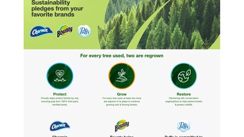 Target Procter & Gamble Sustainability Landing Page