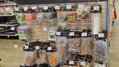 PetSmart 'Scary Tails' Halloween Slatwall Display