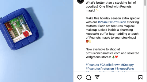 Peanuts X Profusion Cosmetics Instagram Update