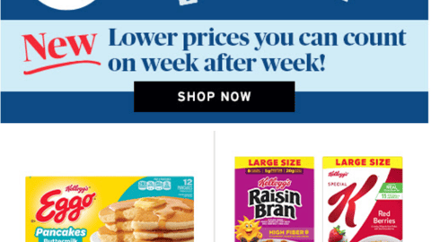 ShopRite 'Lock-In Price' Email Ad