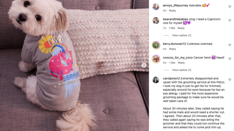 Petco 'Find Their Sign' Instagram Update
